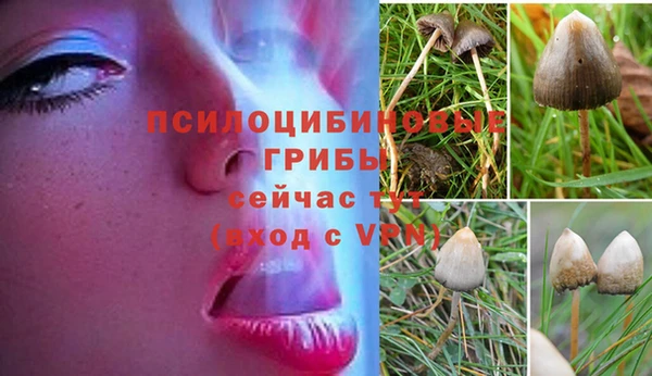 хмурый Бронницы